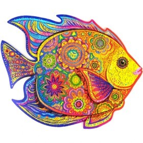  Colorful Fish 